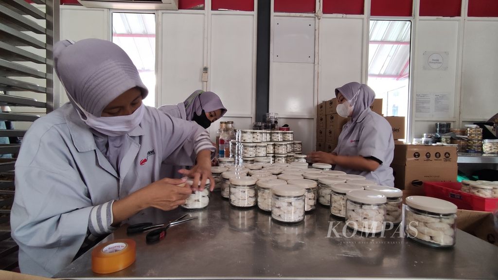 Sejumlah pekerja mengemas kue kering di pabrik J&C Cookies, Cibeunying, Kecamatan Cimenyan, Kabupaten Bandung, Jawa Barat, Kamis (8/12/2022). Sempat terdampak pandemi Covid-19, industri kue produksi rumahan kini mulai kembali bergeliat. Penjualan daring juga ditingkatkan.
