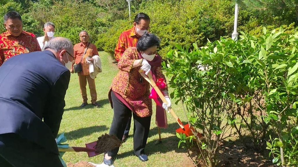 Presiden Ke-5 RI Megawati Soekarnoputri menanam di Taman Megawati di Jeju, Korea Selatan, Rabu (14/9/2022).