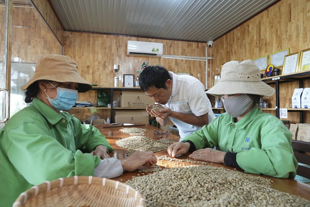  Pekerja tengah memilah biji kopi di sebuah pabrik di Provinsi Dak Lak, Vietnam, 1 Februari 2024. 