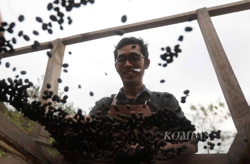 Alpyan Juliyanto, pemilik kedai kopi dan penggerak budidaya kopi di Kecamatan Harian, Kabupaten Samosir, Sumatera Utara, Kamis (4/8/2022). 