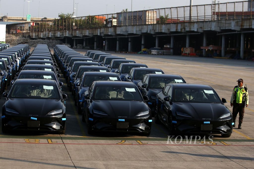 Mobil listrik BYD yang didatangkan dari China terparkir di halaman Terminal Mobil Tanjung Priok, Jakarta, Jumat (12/7/2024).