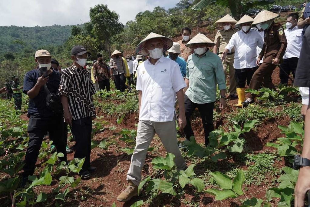 Menteri Koperasi dan Usaha Kecil Menengah Teten Masduki (baju putih di depan) menanam kacang koro pedang di Kabupaten Sumedang, Jawa Barat, Senin (24/1/2022). Komoditas itu diharapkan menjadi alternatif pengganti kedelai.
