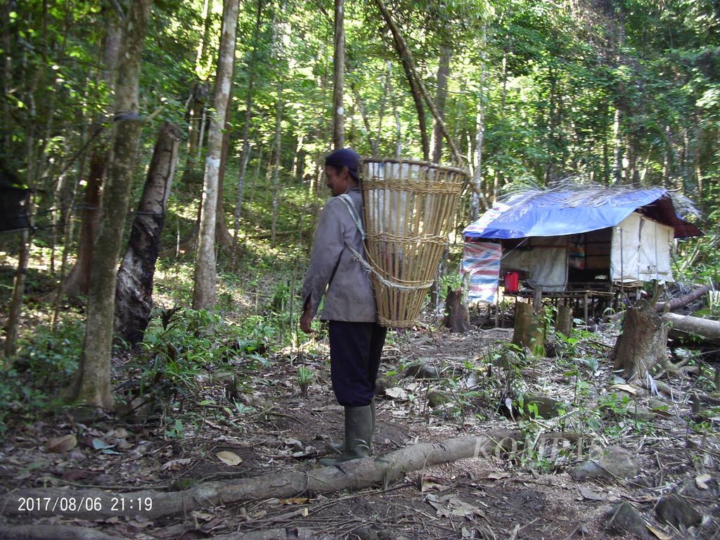 Salah saatu warga di Kecamatan Singkawang Timur, Kota Singkawang, Kalimantan Barat, membawa wadah dari rotan mencari durian di hutan, Minggu (25/9/2022).