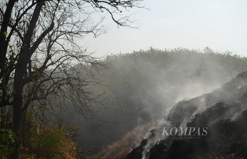 Sebagian lahan Kawasan hutan jati yang dipakai sebagai lokasi tempat pembuangan akhir sampah di Darupono, Kecamatan Kaliwungu, Kabupaten Kendal, Jawa Tengah, Selasa (30/7/2019). Kebakaran hutan menjadi salah satu ancaman terbesar saat musim kemarau.