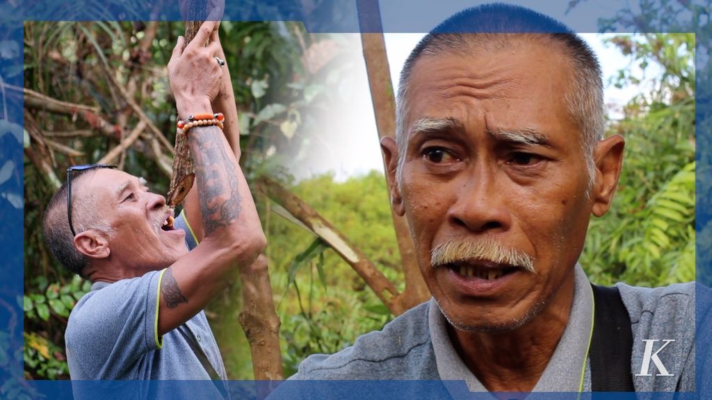 Robohnya Lumbung Pangan Dayak Kalimantan