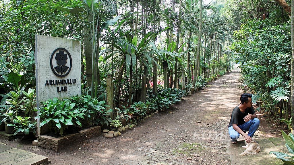 Koridor Arumdalu Lab, kawasan seluas sekitar 1 hektar untuk edukasi perkebunan perkotaan di Jelupang, Serpong Utara, Tangerang Selatan, Banten.