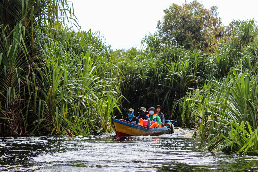 Para pengunjung melintas di Sungai Koran, Taman Nasional Sebangau, Kalimantan Tengah, yang dikenal karena keistimewaan warna hitamnya, Kamis (11/11/2021). Sungai ini berada di kawasan konservasi tempat hutan di sekitarnya menjadi lokasi penelitian juga wisata.