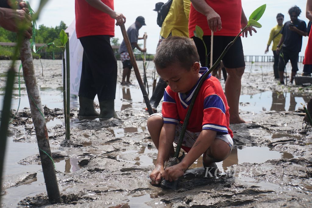 Seorang anak turut serta dalam program penanaman 5.000 bibit mangrove di Bahowo Mangrove Park, Manado, Sulawesi Utara, Selasa (27/9/2022).