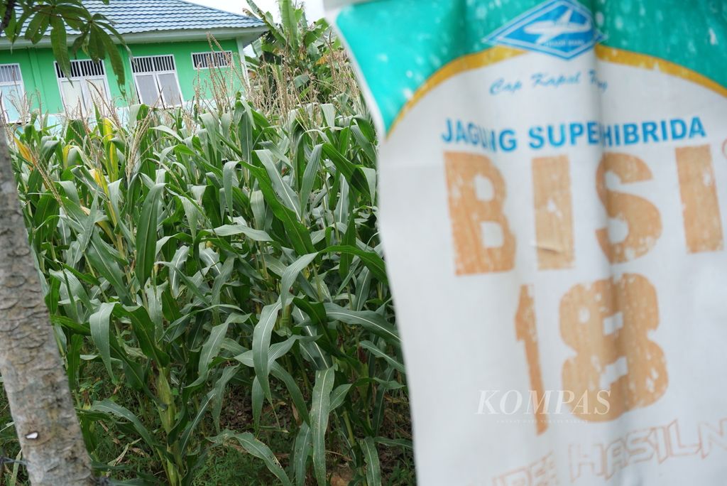 Spanduk promosi bibit jagung hibrida terpajang di sekitar kebun jagung masyarakat di Desa Ombulo, Kabupaten Gorontalo, Provinsi Gorontalo, Kamis (1/12/2022).