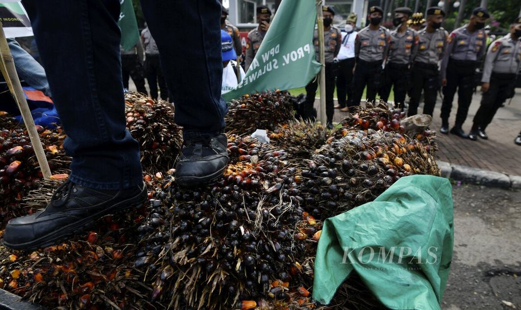 Petani kelapa sawit menggelar aksi di depan Kantor Kementerian Koordinator Bidang Perekonomian, Jakarta, 17 Mei 2022. Mereka memprotes kebijakan pemerintah yang melarang ekspor minyak sawit mentah (CPO) karena menyebabkan anjloknya harga tandan buah segar. 