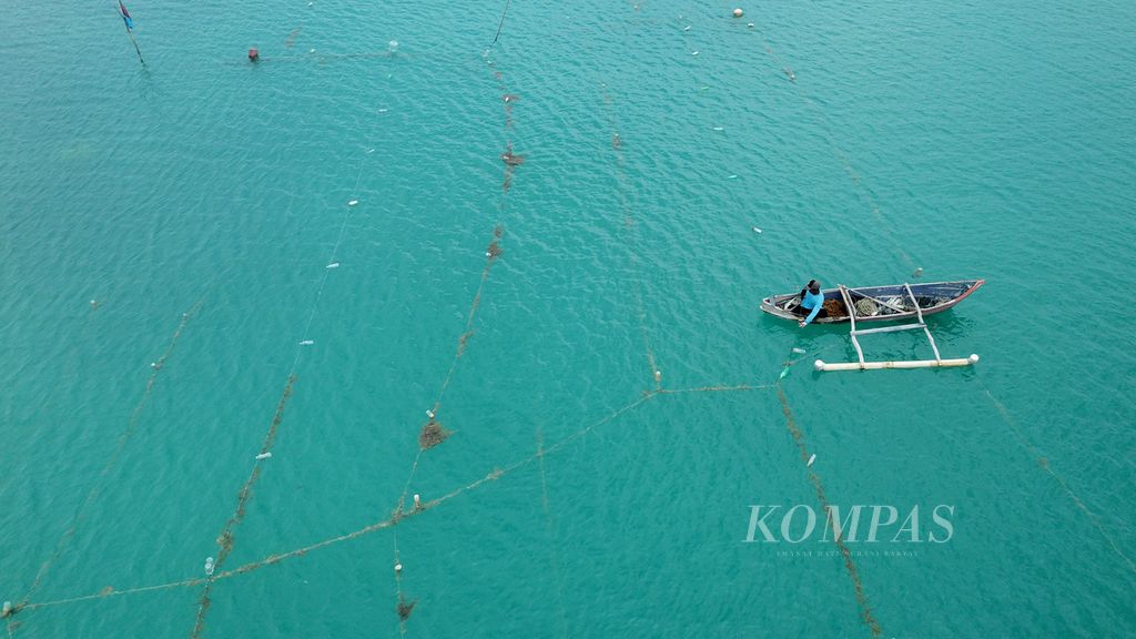 Petani memasang bibit rumput laut pada tali yang dibentangkan di Desa Kemujan, Karimunjawa, Jepara, Jawa Tengah, Kamis (18/4/2024). 