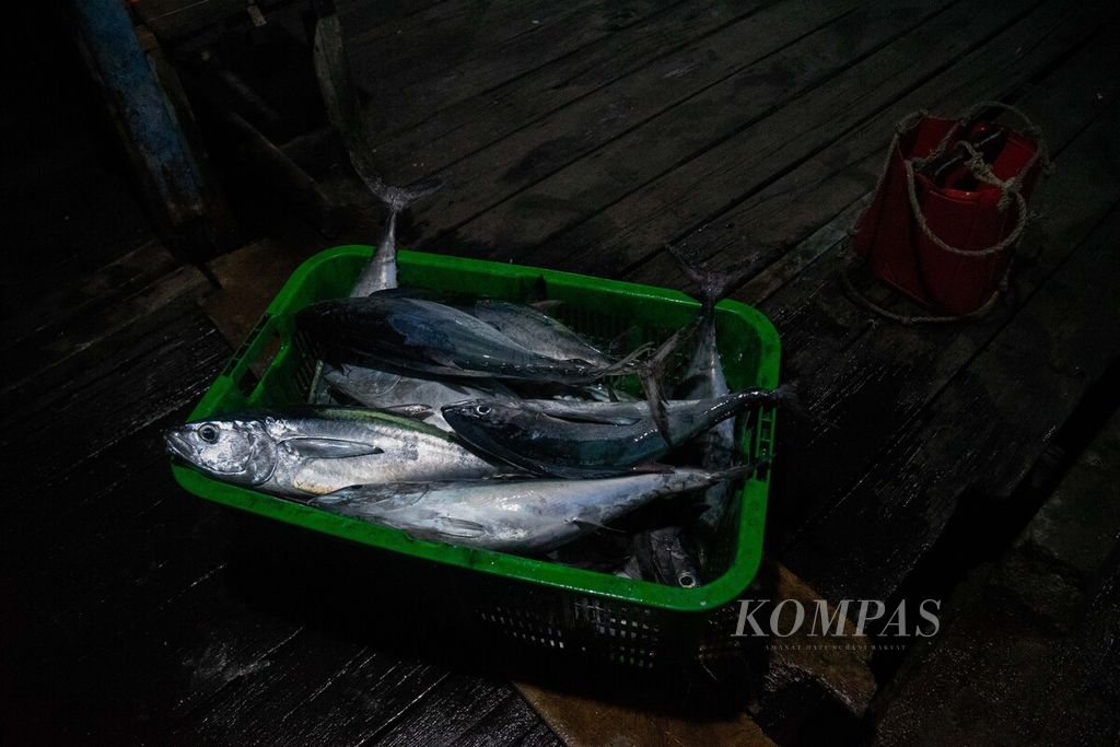 Tongkol tangkapan nelayan menunggu ditimbang di Pelabuhan Teluk Baruk, Desa Sepempang, Kecamatan Bunguran Timur, Kabupaten Natuna, Kepulauan Riau, Sabtu (26/3/2022).