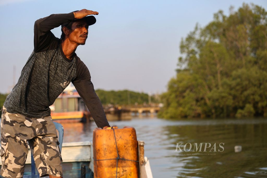 Pupung (43), pemandu wisata di Mangrove Center Graha Indah Balikpapan, mencari bekantan (<i>Nasalis larvatus</i>) di antara hutan mangrove di sekitar Teluk Balikpapan, Kota Balikpapan, Kalimantan Timur, Selasa (31/10/2023).