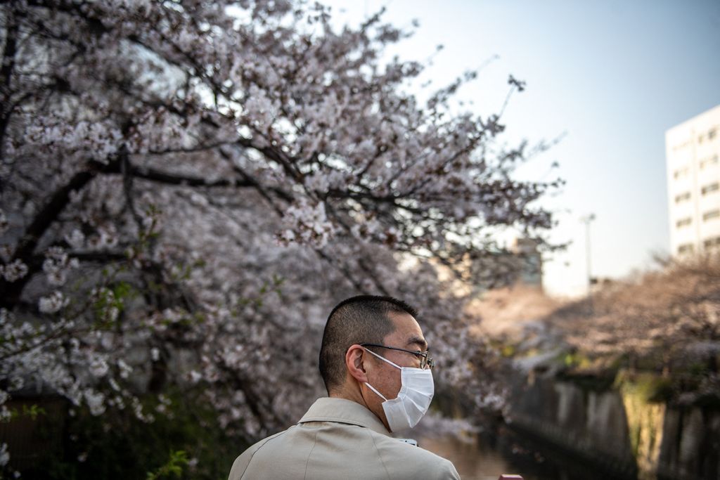 Seorang pria berdiri di jembatan dengan latar belakang bunga sakura di distrik Meguro, Tokyo, Jepang, Selasa (23/3/2021). 