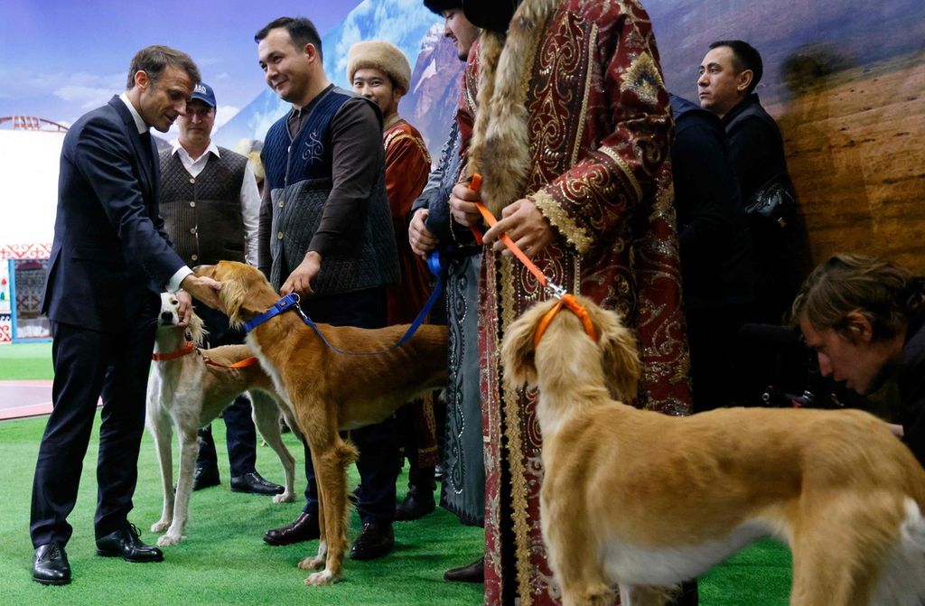 Presiden Perancis Emmanuel Macron (kiri) memegang anjing Kazakhstan untuk berburu, Tazy, dalam pameran kebudayaan dan tradisi Kazakhstan di Astana, Kazakhstan, 1 November 2023. 