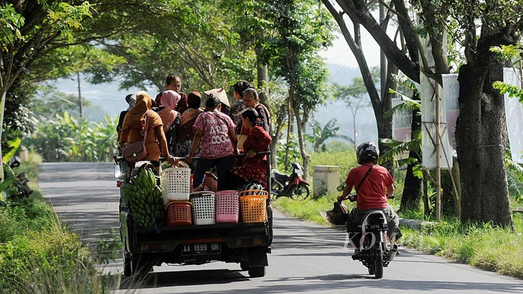 Sejumlah perempuan membawa hasil bumi untuk dijual ke pasar dengan menggunakan kendaraan bak terbuka saat melintas di Kecamatan Banyubiru, Kabupaten Semarang, Jawa Tengah, Senin (8/5/2017). Para pekerja perempuan pada sektor informal tersebut merupakan bagian dalam meningkatkan pendapatan rumah tangga.