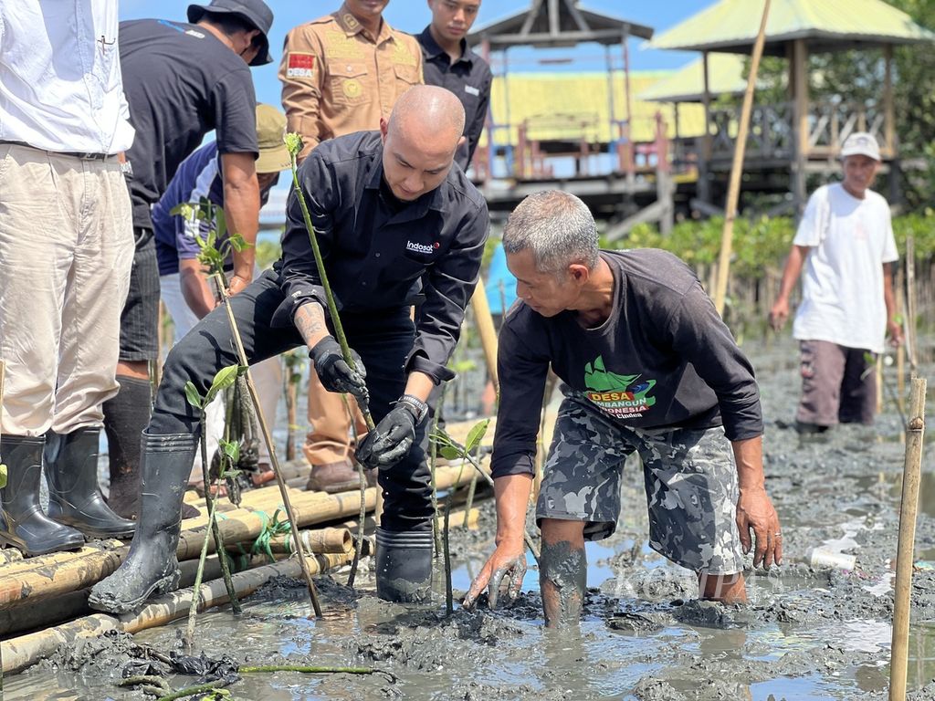 Steve Saerang, SVP Head of Corporate Communications Indosat Ooredo Hutchison, menanam mangrove bersama warga di Desa Bulu Cindea, Pangkajene Kepulauan, Sulawesi Selatan, Senin (4/12/2023).