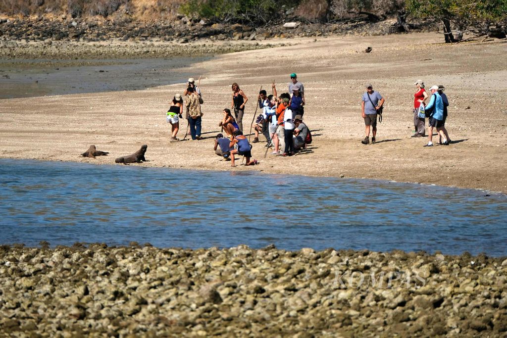 Foreign tourists photographing Komodo dragons on Loh Liang beach, the entrance to the Komodo National Park area, West Manggarai Regency, East Nusa Tenggara, Wednesday (24/8/2016).