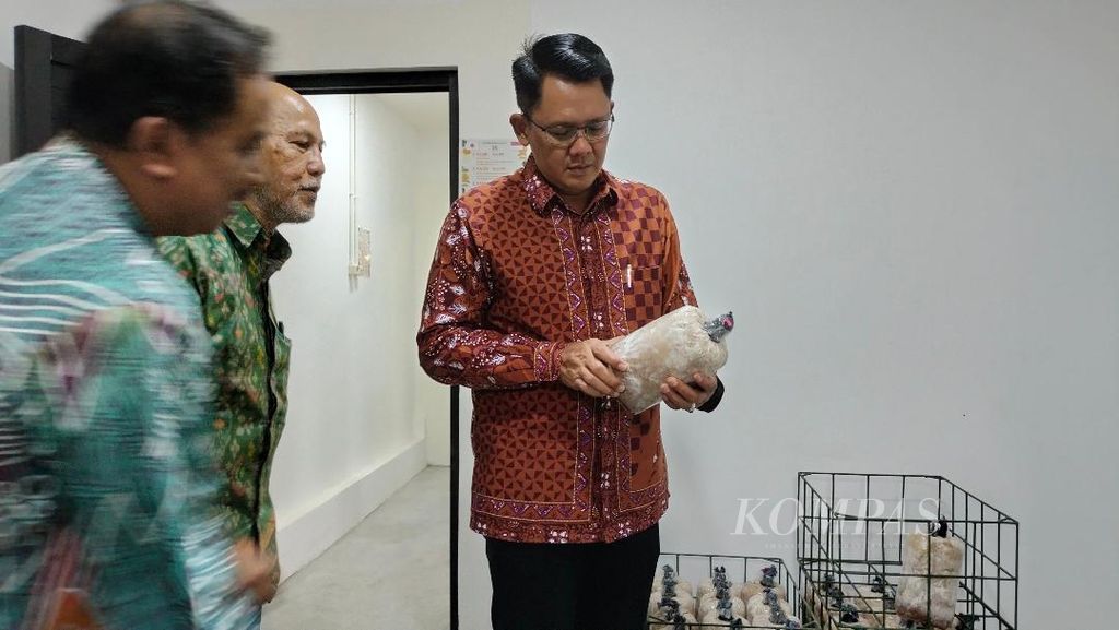 Wakil Bupati Sleman Danang Maharsa (kanan) melihat <i>baglog</i> jamur di Unit Penelitian dan Pengembangan Jamur Konsumsi di Fakultas Kehutanan UGM Yogyakarta, Selasa (11/7/2023).