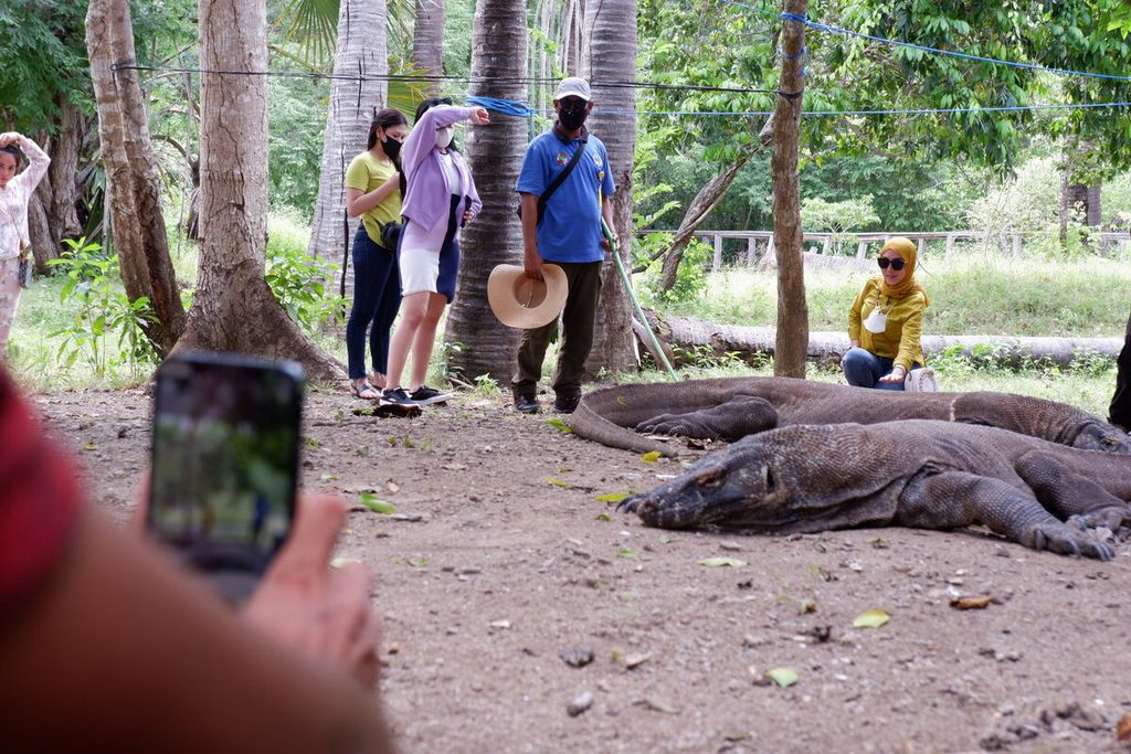 Dengan penjagaan ketat petugas dan pengaturan jarak aman, wisatawan berfoto dengan komodo di Taman Nasional Komodo, Manggarai Barat, Nusa Tenggara Timur, Rabu (24/3/2021). 