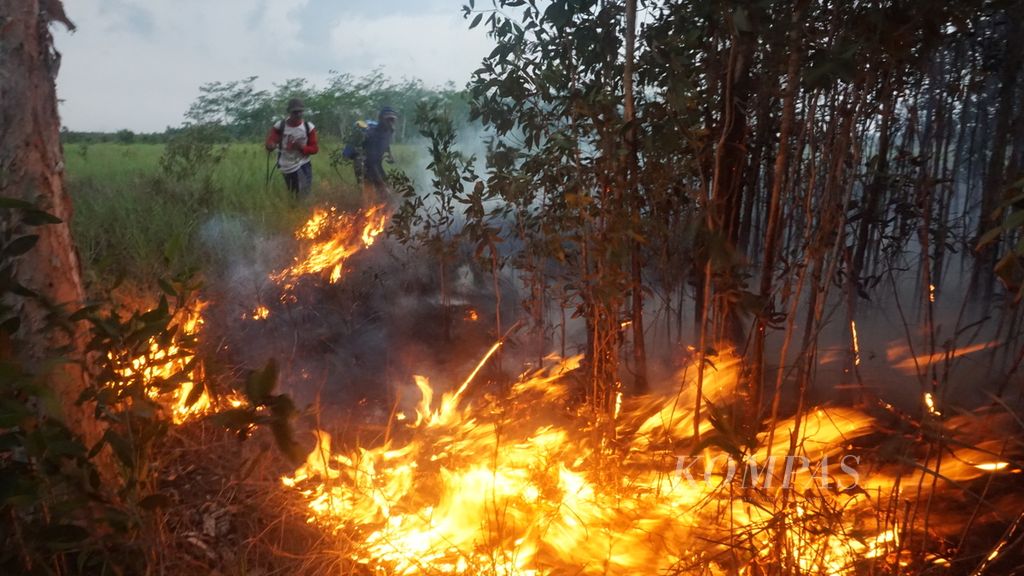 Warga mencoba memadamkan api di lahan terbakar di Desa Talio Hulu, Kecamatan Pandih Batu, November 2019. Kawasan ini merupakan wilayah bekas Proyek Pengembangan Lahan Gambut tahun 1995 yang juga diproyeksi dalam program <i>food estate</i>.
