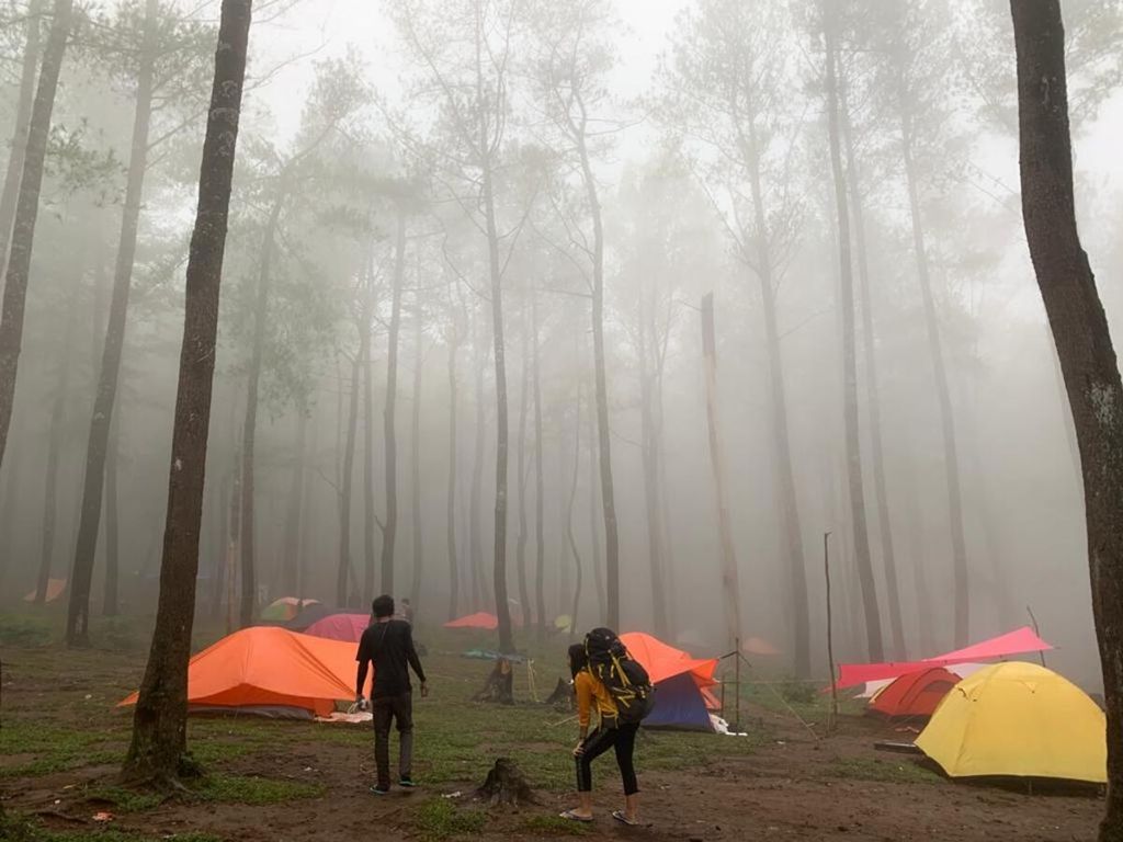 Pendakian Gunung Bawakaraeng ditutup hingga waktu yang tidak ditentukan akibat cuaca buruk. Namun, pendaki masih bisa menikmati hutan pinus Lambannya. Kawasan ini pada Selasa (31/12/2019) lalu ramai oleh pengunjung yang melewatkan pergantian tahun.