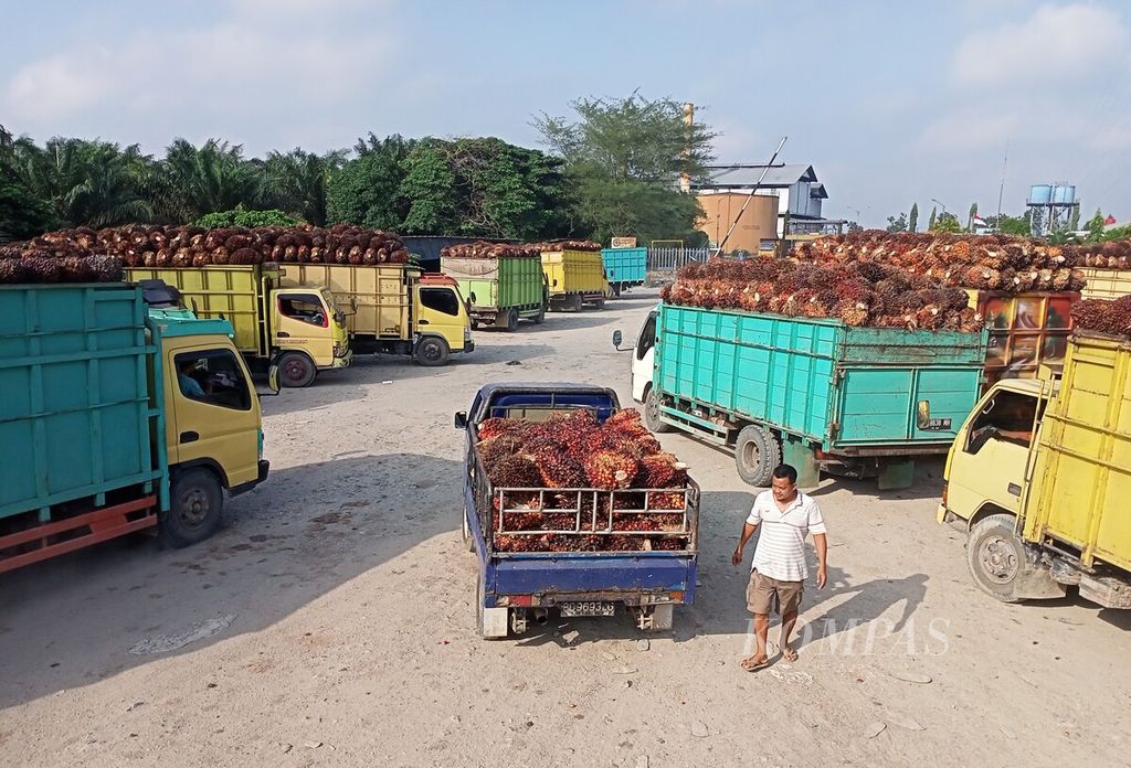 Para pemasok buah sawit mengantre untuk dapat memasok tandan buah segar ke pabrik pengolahan minyak sawit di Kabupaten Muaro Jambi, Senin (18/7/2022). Harga buah sawit di wilayah itu kini mencapai Rp 1.200 per kilogram.