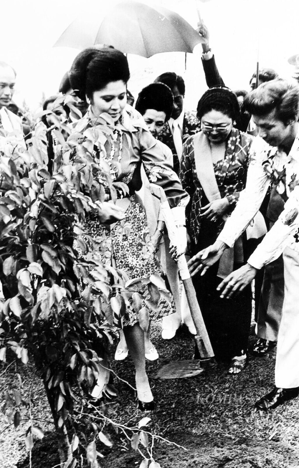 Nyonya Imelda Marcos dan Ny Benyamin Sheares menanam pohon beringin di Taman Anggrek TMII, Senin (21/4/1975), sebelum meninjau TMII didampingi ibu Tien Soeharto.