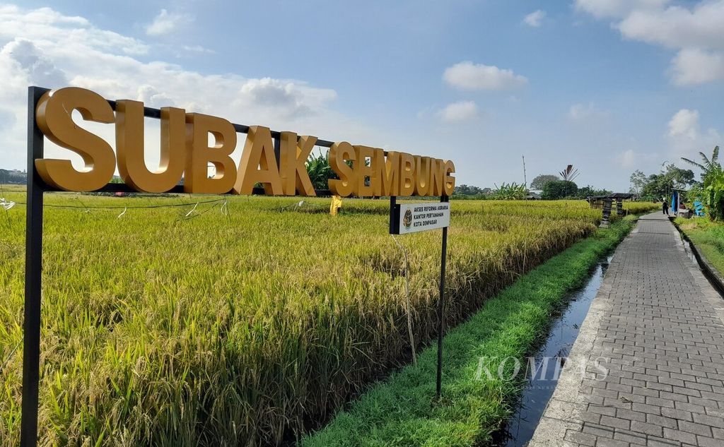 Subak Sembung di Kelurahan Peguyangan, Kecamatan Denpasar Utara, Kota Denpasar, dikembangkan sebagai kawasan ekowisata subak. Subak didokumentasikan pada Kamis (23/5/2024). 