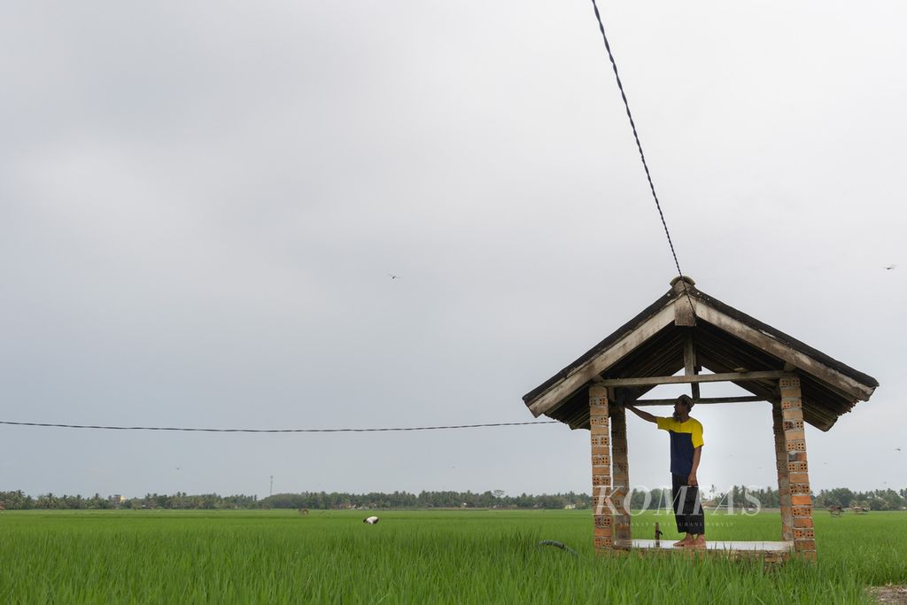 M Rois (46) menyalakan mesin pompa bertenaga listrik untuk mengairi lahannya di Desa Veteran Jaya, Kecamatan Martapura, Kabupaten Ogan Komering Ulu Timur, Sumatera Selatan, Jumat (16/6/2023). 