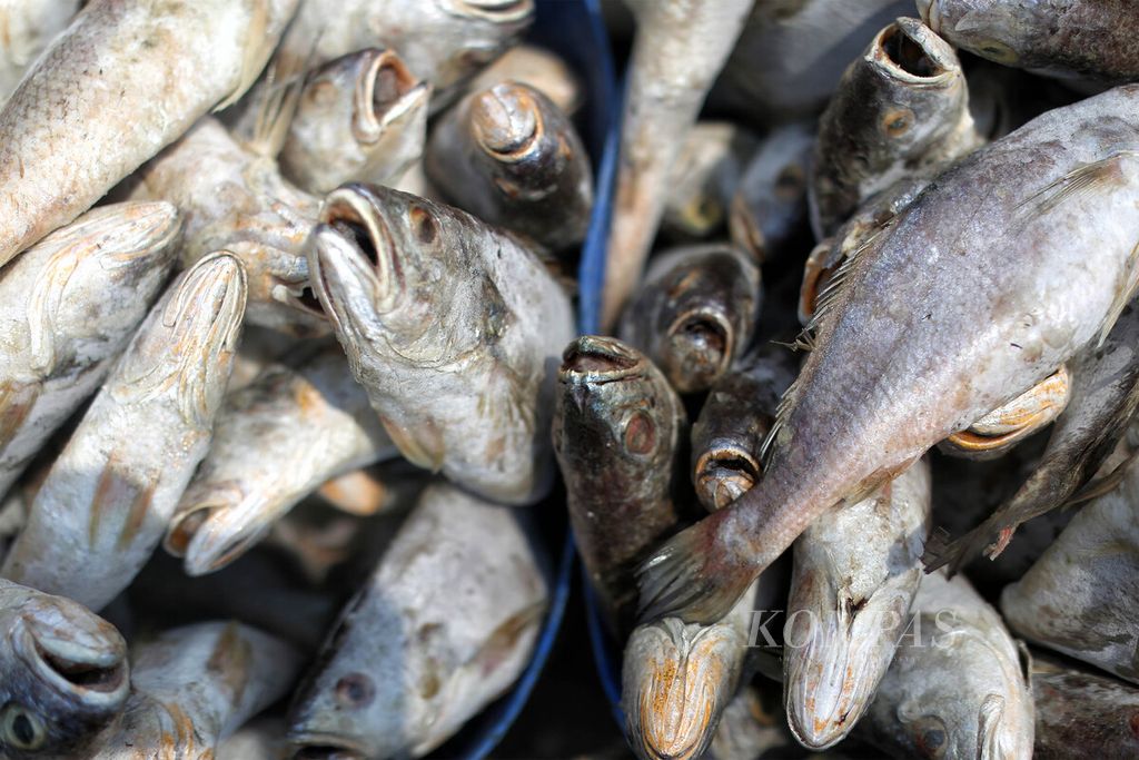 Ikan hasil penangkapan di perairan Papua tiba di Pelabuhan Muara Angke, Jakarta Utara, Sabtu (7/11/2020). Indonesia tercatat sebagai penghasil perikanan terbesar kedua di dunia. Sektor ini menghasilkan sekitar 4,1 miliar dollar AS pendapatan ekspor tahunan, menunjang lebih dari 7 juta pekerjaan, dan menyediakan lebih dari 50 persen protein hewani bagi Indonesia.