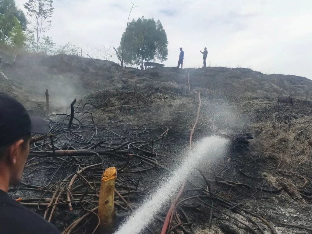 Petugas memadamkan api yang membakar salah satu lahan di Kota Jayapura, Papua, pada tahun 2023. Total terjadi delapan kasus kebakaran lahan di Kota Jayapura pada tahun ini.