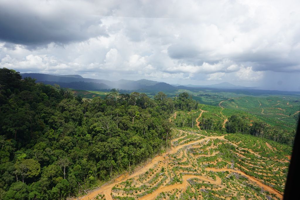 Hutan adat Kinipan, Kabupaten Lamandau, Kalteng, Rabu (9/9/2020). Kawasan dengan luas 16.000 hektar itu kini bermasalah karena sekitar 2.600 hektar masuk dalam konsesi perkebunan sawit. Hingga kini belum ada penyelesaian dalam konflik antara warga dan perusahaan itu.