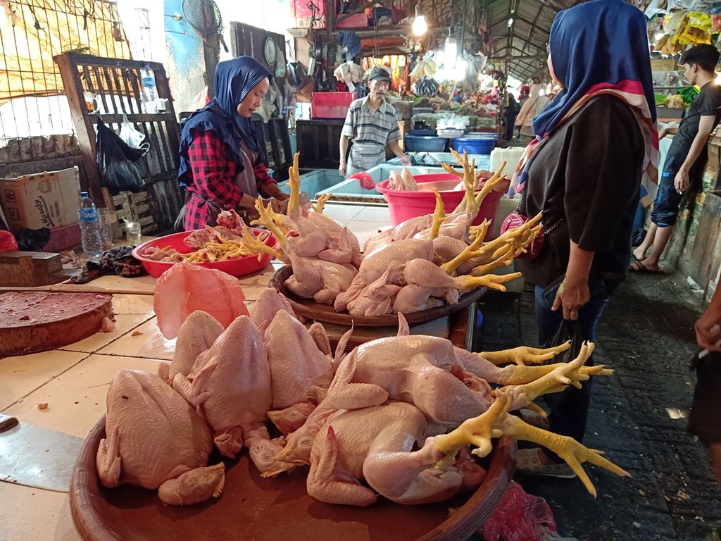 The chicken meat traders in the Pasar Minggu area, Jakarta, Thursday (11/07/2019), are serving the purchase of chicken meat. Today's food prices are stable, including the selling price of chicken meat. The price of large size chicken, buyers are offered at a price of Rp. 40,000 per head, while the price for small sizes is Rp. 35,000 per head.
