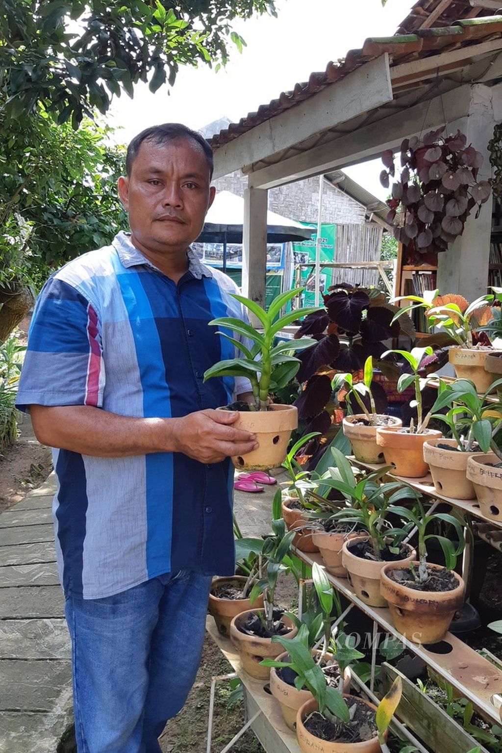 Suyut (45) dan berbagai tanaman di kebun di rumahnya di sudut Kota Bandar Lampung.