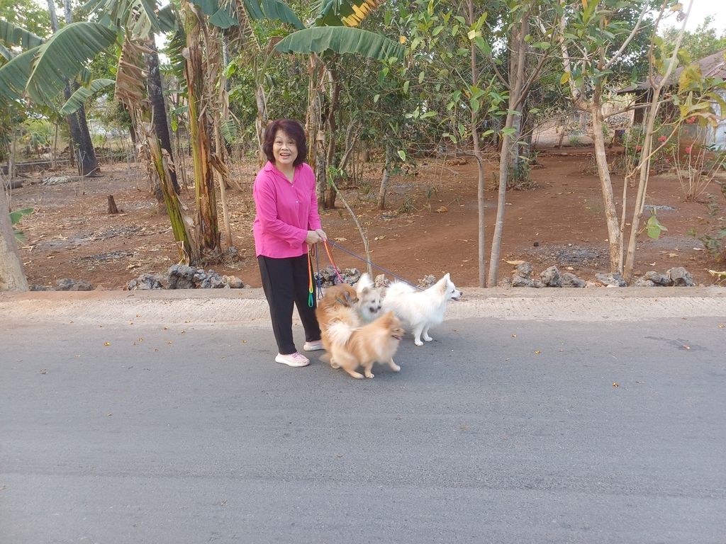 Mia (43) membawa anjing peliharaannya berjalan pada pagi hari di Kelurahan Naimata, Kota Kupang, NTT, Kamis (19/10/2023). Ia mengaku anjingnya sudah diberi vaksin antirabies. Anjing hias ini dibeli seharga Rp 5 juta per ekor dari usia 2 minggu.