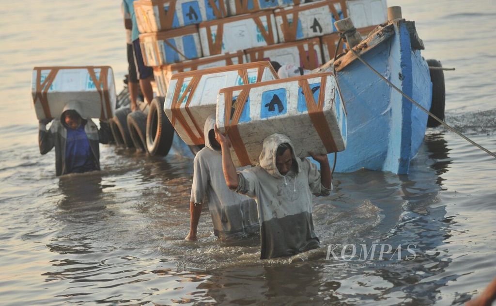  Pekerja menurunkan ikan tangkapan nelayan dari Pulau Raas di Pelabuhan Jangkar, Situbondo, Jawa Timur, Rabu (31/5/2023). Walau kecil, Pelabuhan Jangkar berperan penting sebagai jalur logistik bagi masyarakat kepulauan di Kabupaten Sumenep, seperti Raas dan Sapudi.