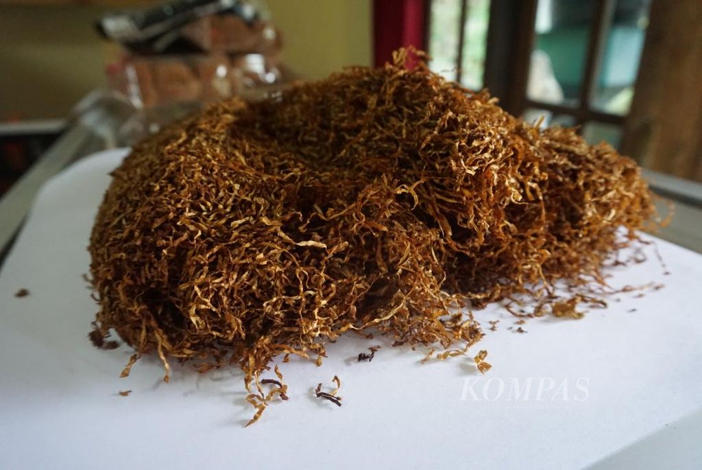 Sebagian petani di Kabupaten Temanggung membuat tembakau menjadi bahan untuk rokok lintingan.