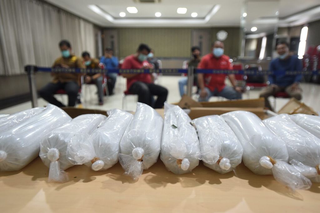 Evidence in the release of the thwarting of smuggling of clear lobster seeds (BBL) through Juanda Airport at the Juanda Customs Office in Sidoarjo, East Java, on Thursday (15/4/2021). The thwarting was carried out at 12:30 PM to a package headed for Batam which was reported as consisting of general cargo-garments-electronics package documents. Out of the 80 plastic bags that were seized, it is estimated that they contain 80,000 BBL with a value of 8 billion rupiah.