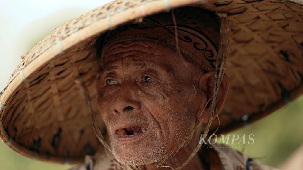 A portrait of farmers cultivating the Ipoh field in Wargajaya Village, Sukamakmur District, Bogor Regency, West Java, taken on Wednesday (11/5/2022). One's old age is endured alone while continuing to work in the field.
