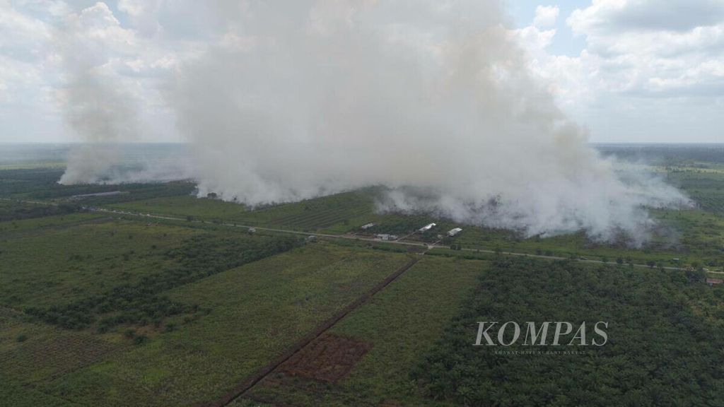 Lokasi kebakaran lahan seluas lebih kurang 67 hektar di Kabupaten Kotawaringin Barat, Kalimantan Tengah, Rabu (3/3/2021).