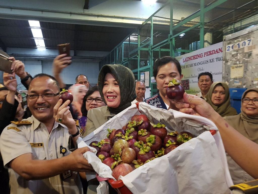 Kepala Badan Karantina Pertanian  Banun Harpini (tengah) menunjukkan manggis yang akan diekspor ke China di Bandara Soekarno-Hatta Tangerang, Banten, Kamis (18/1).