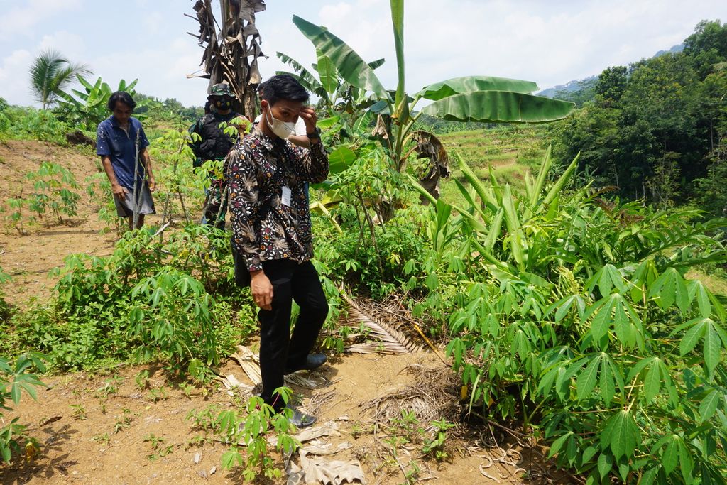 Perangkat Desa Windunegara disertai personel TNI-Polri mengecek jejak kaki harimau di Grumbul Kepetek, Desa Windunegara, Wangon, Banyumas, Jawa Tengah, Rabu (5/1/2022).