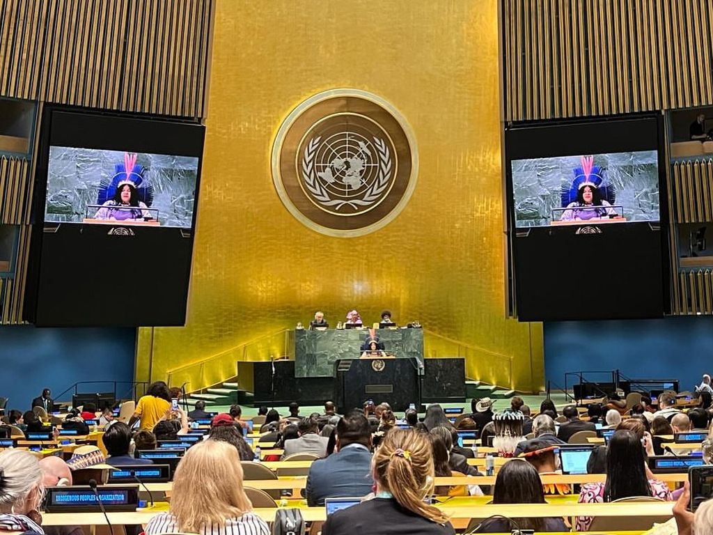 The atmosphere of the global indigenous community meeting which took place at the United Nations Office, New York, United States, 15-26 April 2024.