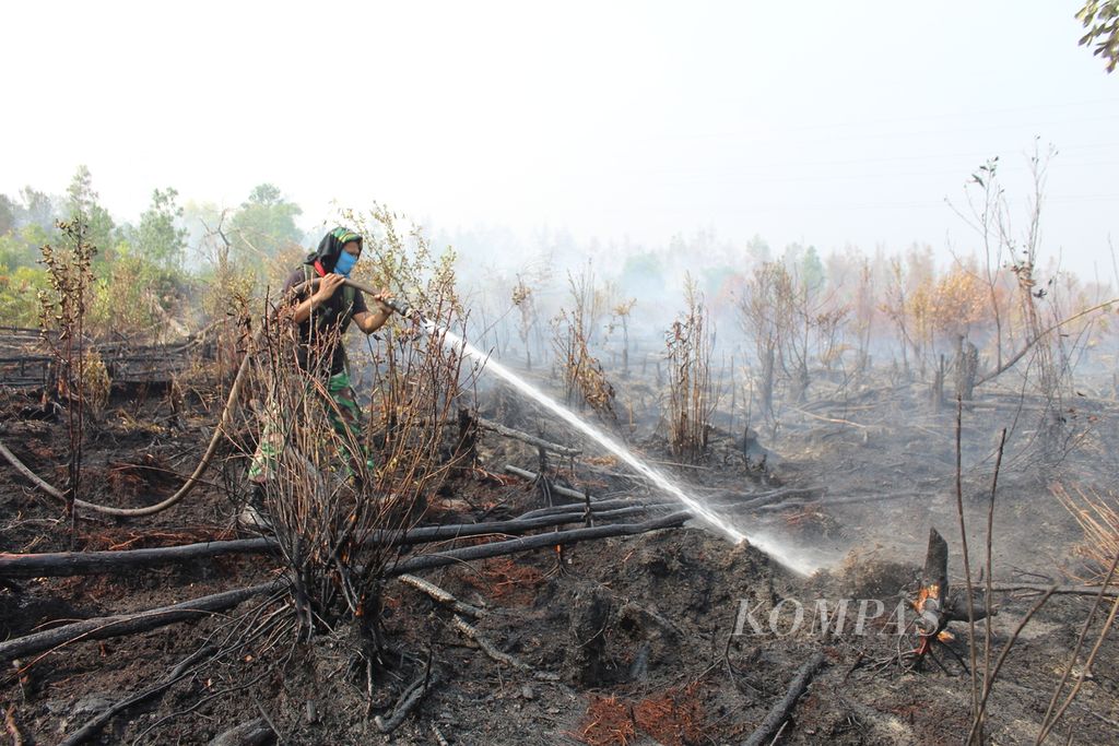 Anggota tim gabungan pemadam kebakaran sedang memadamkan api di Desa Tanjung Taruna, Kabupaten Pulang Pisau, Kalteng, Minggu (15/11/2023). Karhutla di Kalteng sudah menghanguskan setidaknya 18.000 hektar hutan dan lahan.