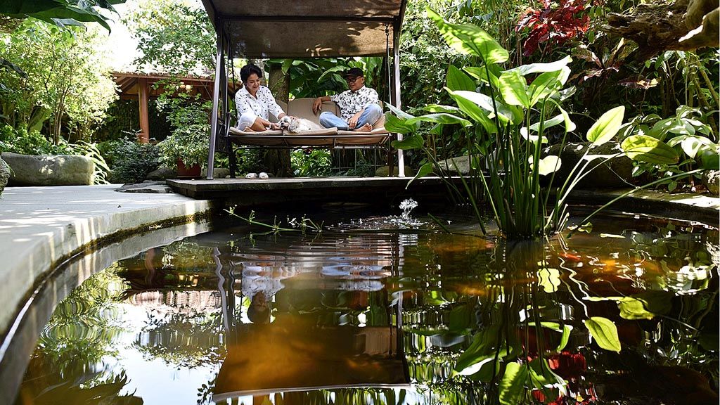  Taman dan kolam ikan halaman belakang rumah Yugo Widyaputra di kawasan Sentul, Bogor, Jawa Barat, Kamis (20/4).