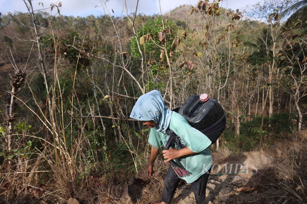 Kartinah (54) menaiki bukit dengan menggendong jeriken berisi air yang diambil dari mata air di Dusun Butuh, Desa Candirejo, Kecamatan Borobudur, Kabupaten Magelang, Jawa Tengah, Selasa (3/9/2023). 