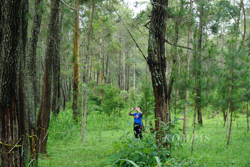 Pelatih PB Djarum, Ade Lukas, memotret anak asuhannya yang sedang menjalani permainan <i>sky run</i> atau berjalan meniti balok besi di atas ketinggian 10 meter dalam mancakrida (<i>outbound</i>) di hutan pinus di Lembang, Jawa Barat, Jumat (12/1/2024).
