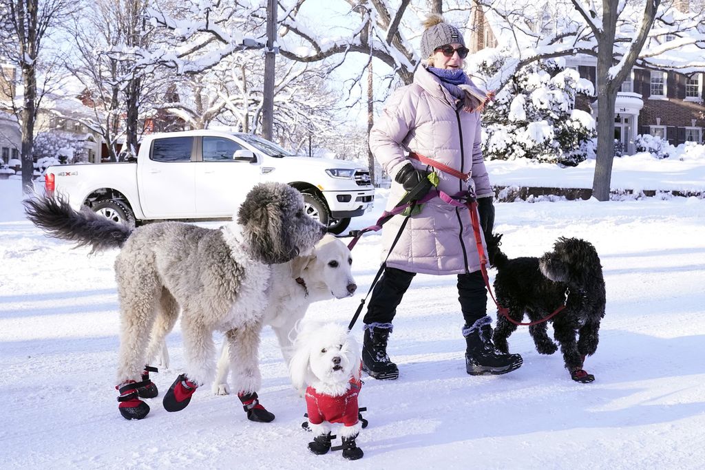 Pengasuh anjing berjalan dengan anjing-anjingnya di dekat Danau Isles di Minneapolis, AS, 22 Desember 2022. 