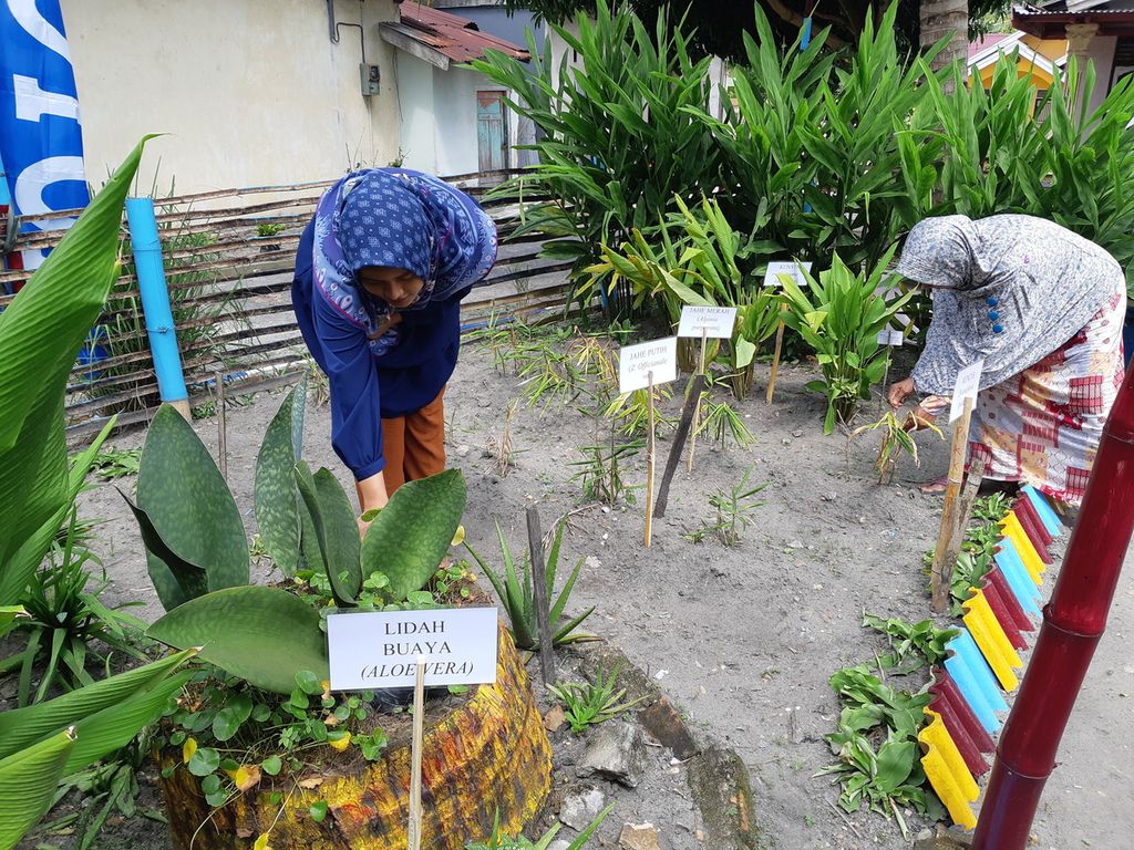 Warga merawat hamparan tanaman obat dan sayuran di RT 011 Pasir Putih, Kota Jambi, Selasa (28/6/2022). Kegiatan itu bagian dari program Kampung Bantar yang bertujuan menarik partisipasi masyarakat dalam pembangunan kota.